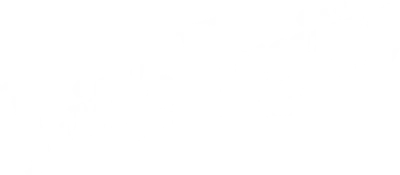 Il piccolo fuggitivo