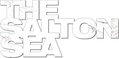 Salton Sea - Incubi e menzogne