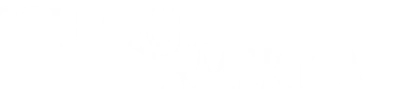 The Quiet American