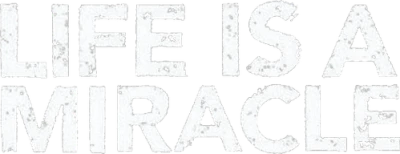 La vita è un miracolo