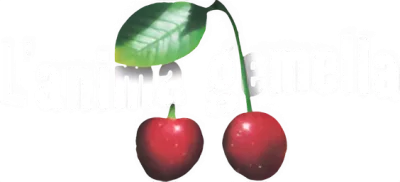 L'anima gemella