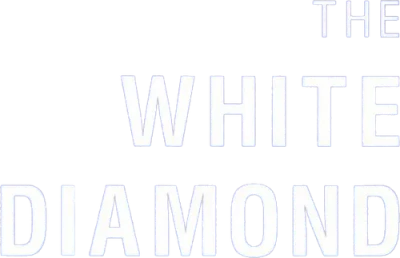 Il diamante bianco