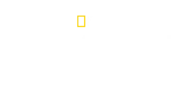 Cacciatori di draghi