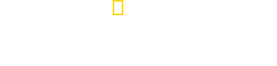 The Long Road Home