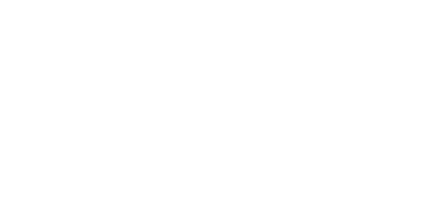Vita da gatto