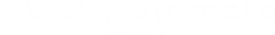 NieR - Automata Ver1.1a