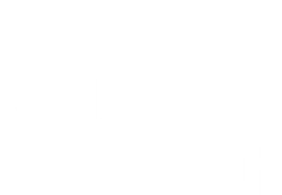 Il traditore tipo