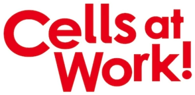 Cells at Work! - Lavori in corpo