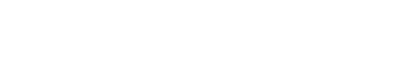 Cleaner