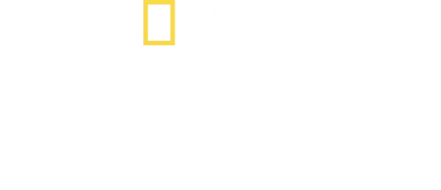 Il gusto di casa