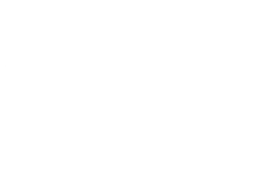 The Crow Girl