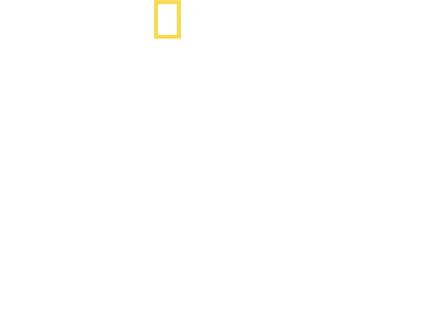 Tucci in Italy