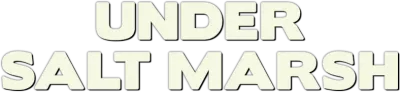 Under Salt Marsh