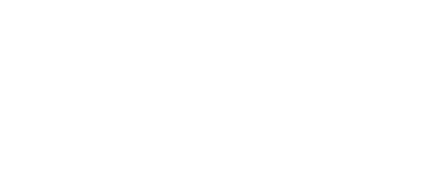 The Escort