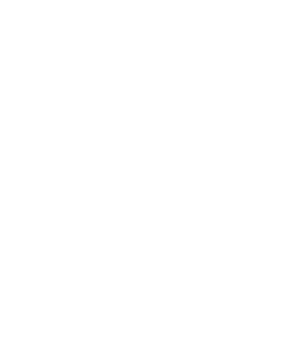 Noi e la Giulia