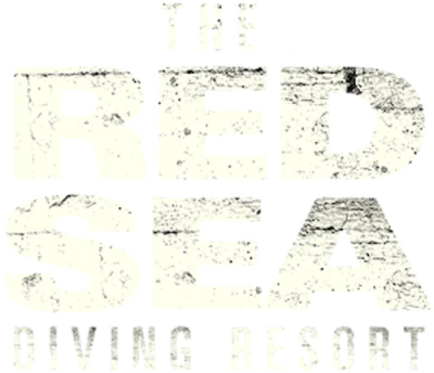 Red Sea Diving